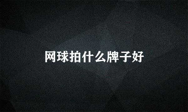 网球拍什么牌子好