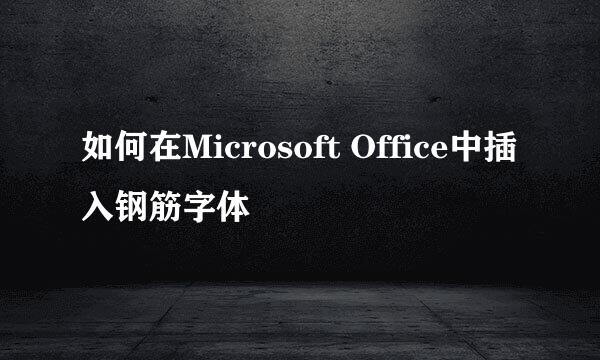 如何在Microsoft Office中插入钢筋字体
