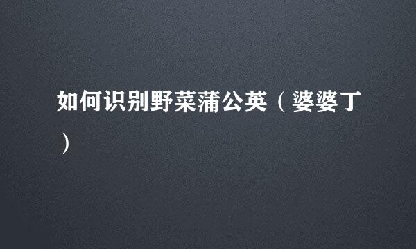 如何识别野菜蒲公英(婆婆丁)