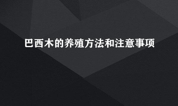 巴西木的养殖方法和注意事项