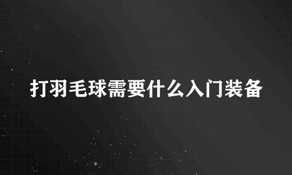 打羽毛球需要什么入门装备