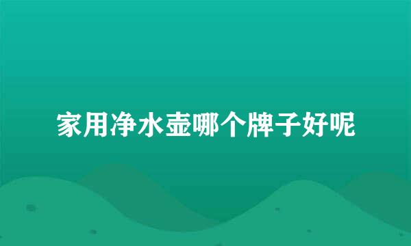家用净水壶哪个牌子好呢