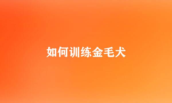 如何训练金毛犬