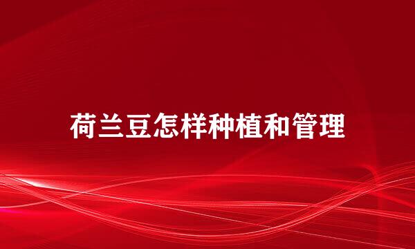 荷兰豆怎样种植和管理