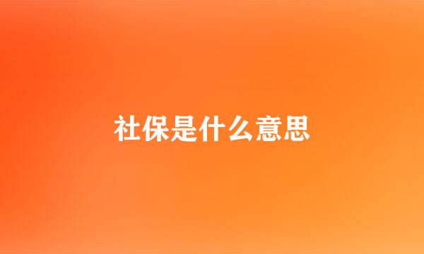 社保是什么意思
