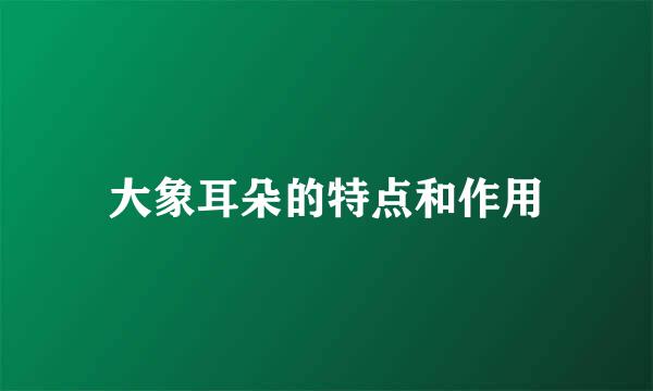 大象耳朵的特点和作用