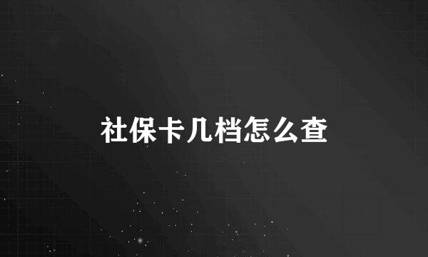 社保卡几档怎么查
