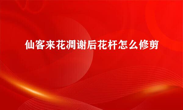 仙客来花凋谢后花杆怎么修剪