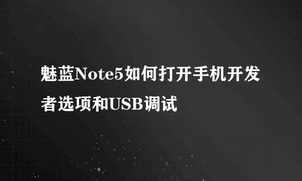 魅蓝Note5如何打开手机开发者选项和USB调试