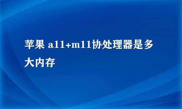苹果 a11+m11协处理器是多大内存