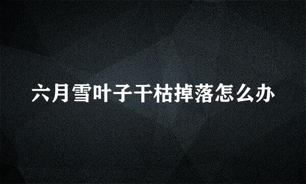 六月雪叶子干枯掉落怎么办