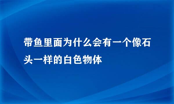 带鱼里面为什么会有一个像石头一样的白色物体