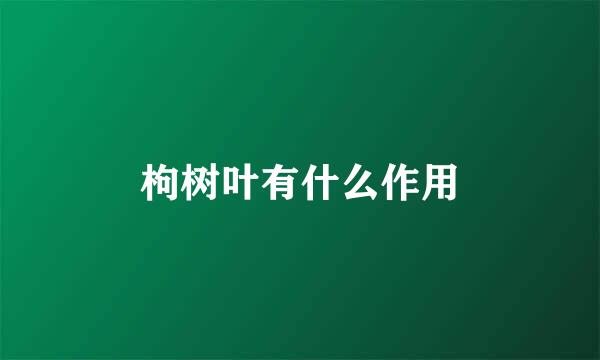 枸树叶有什么作用