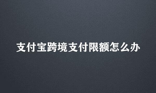 支付宝跨境支付限额怎么办