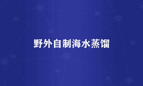 野外自制海水蒸馏