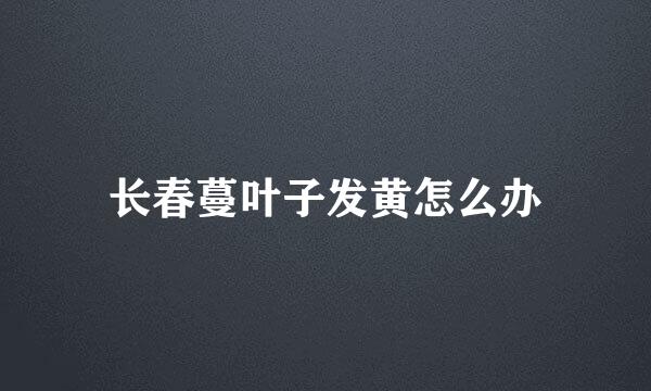 长春蔓叶子发黄怎么办