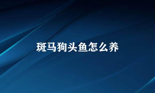 斑马狗头鱼怎么养