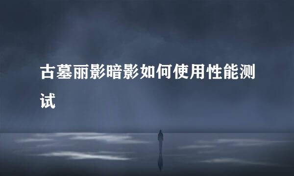 古墓丽影暗影如何使用性能测试