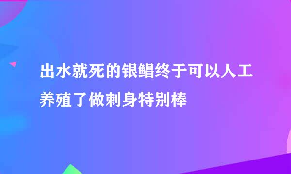 出水就死的银鲳终于可以人工养殖了做刺身特别棒
