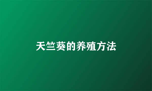 天竺葵的养殖方法