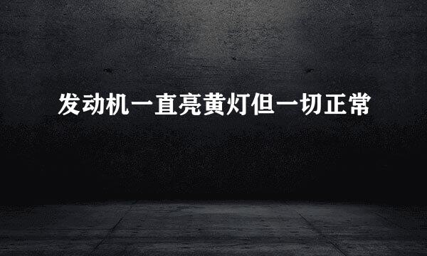 发动机一直亮黄灯但一切正常