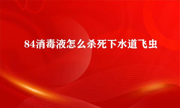 84消毒液怎么杀死下水道飞虫