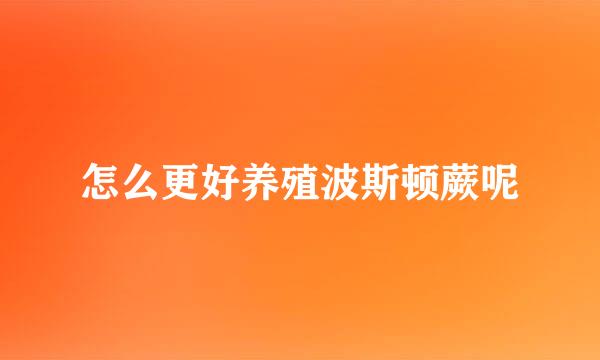怎么更好养殖波斯顿蕨呢