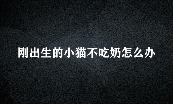 刚出生的小猫不吃奶怎么办