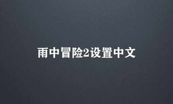 雨中冒险2设置中文