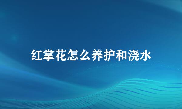 红掌花怎么养护和浇水
