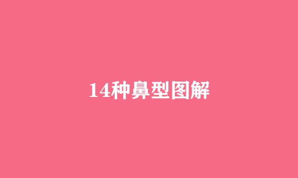 14种鼻型图解