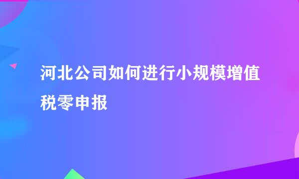 河北公司如何进行小规模增值税零申报