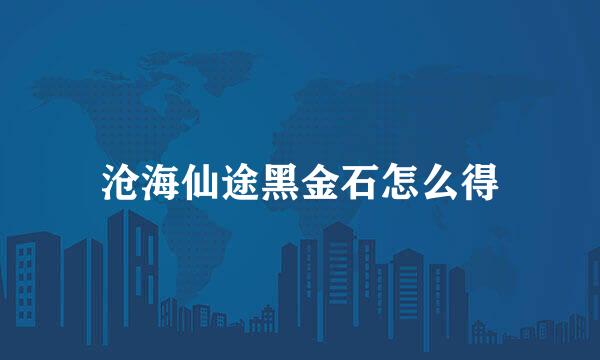 沧海仙途黑金石怎么得
