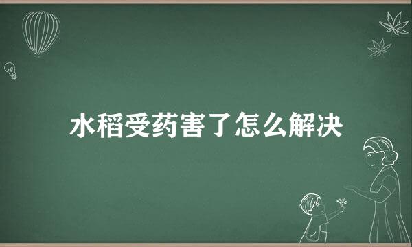 水稻受药害了怎么解决