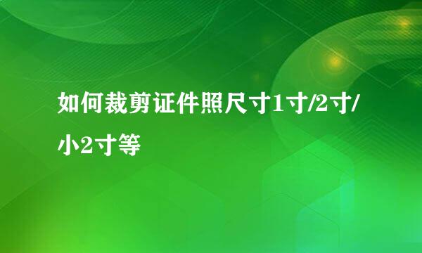 如何裁剪证件照尺寸1寸/2寸/小2寸等
