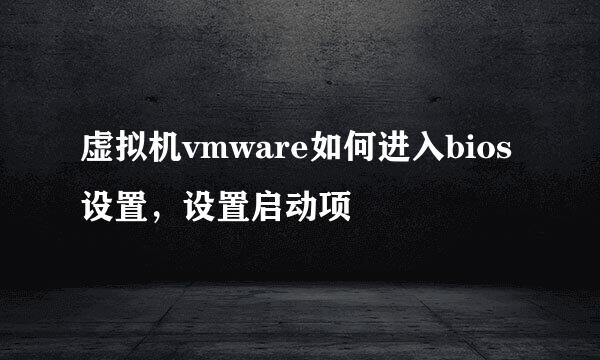 虚拟机vmware如何进入bios设置，设置启动项