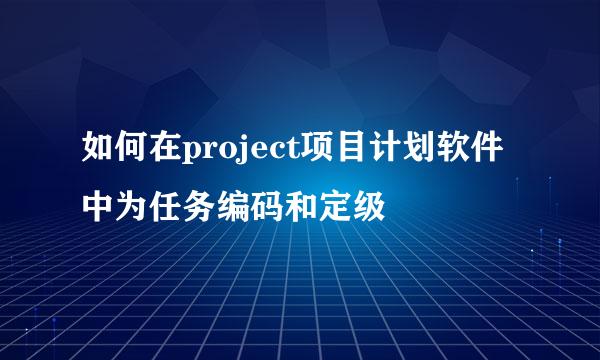 如何在project项目计划软件中为任务编码和定级