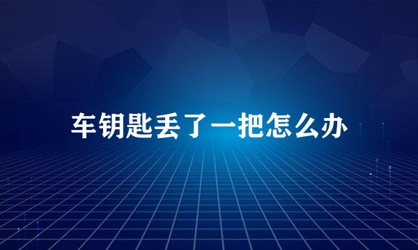 车钥匙丢了一把怎么办
