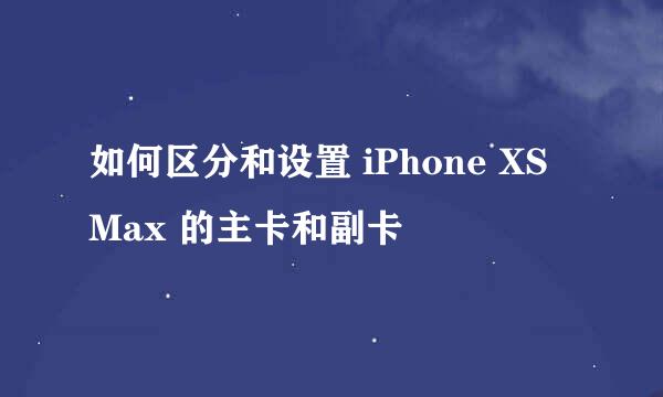 如何区分和设置 iPhone XS Max 的主卡和副卡