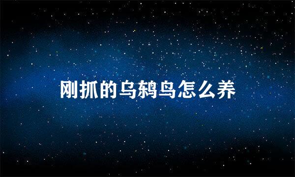 刚抓的乌鸫鸟怎么养