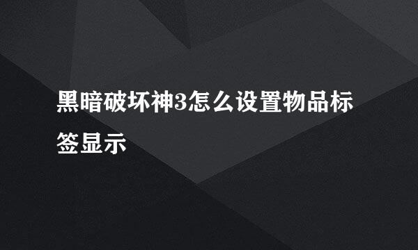 黑暗破坏神3怎么设置物品标签显示