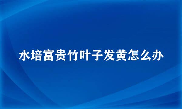 水培富贵竹叶子发黄怎么办
