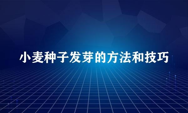 小麦种子发芽的方法和技巧