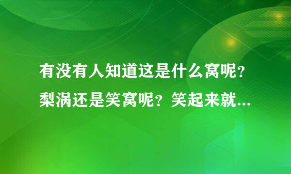 有没有人知道这是什么窝呢？梨涡还是笑窝呢？笑起来就有，在嘴角下面，只有一边有
