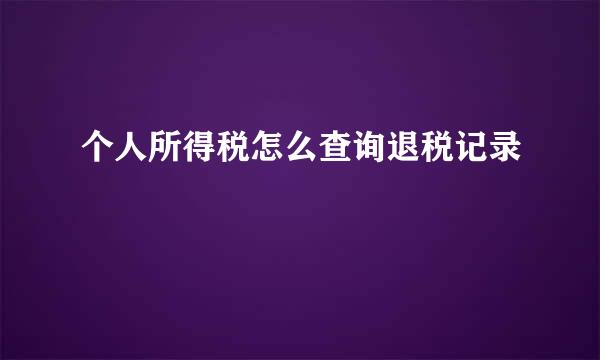 个人所得税怎么查询退税记录