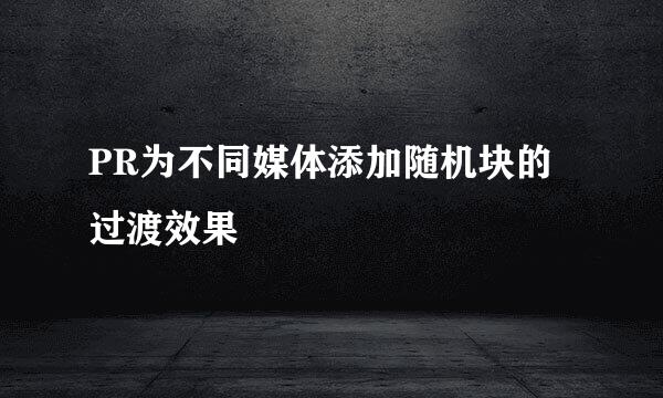 PR为不同媒体添加随机块的过渡效果