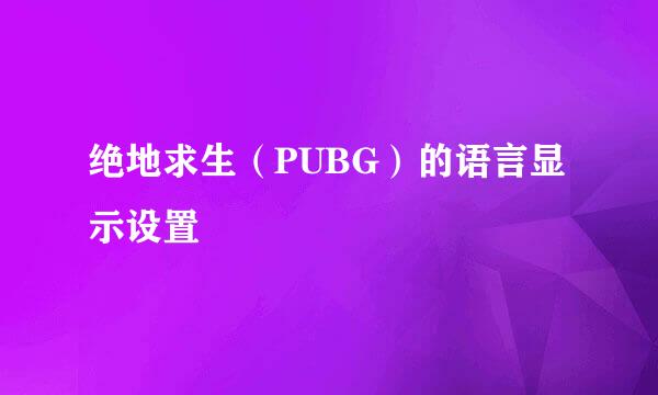 绝地求生（PUBG）的语言显示设置