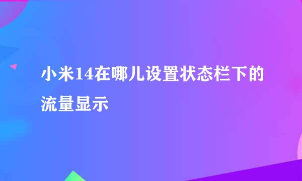 小米14在哪儿设置状态栏下的流量显示