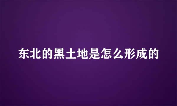 东北的黑土地是怎么形成的