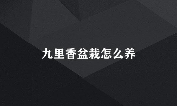 九里香盆栽怎么养